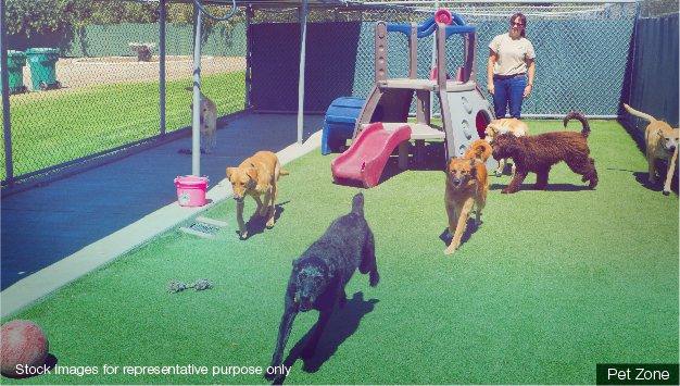 Pet Park