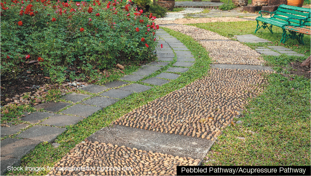 Reflexology Park
