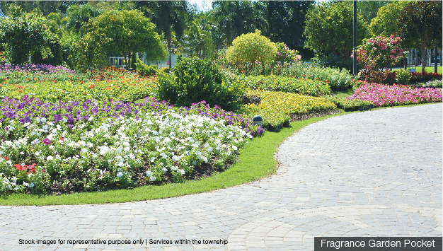 Herbs Garden